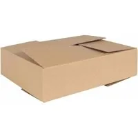 vidaXL Faltbox mit Speicher 50 pcs Braun 40 x 30 x 10 cm - Stylische Aufbewahrungsbox aus robustem Karton, ideal zur Organisation in Hauswirtschaftsräumen. Ihr kompaktes Design ermöglicht platzsparendes Stapeln und sorgt für Ordnung in jedem Raum.