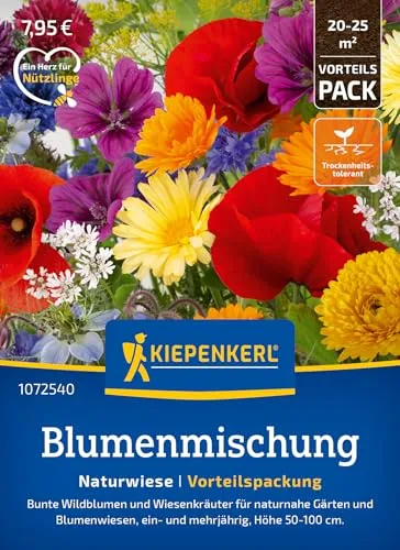 Kiepenkerl Blumensamen-Mischung Naturwiese 1072540 - Bunte Wildblumen und Kräuter für naturnahe Gärten - circa 50-100cm hoch - Wildblumensamen, Blumenwiese