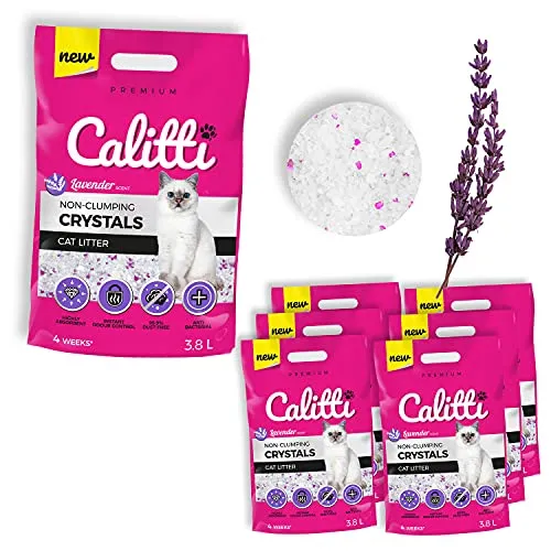 Calitti Lavenda Silikat Katzenstreu 6-er Set - Premium Silikatstreu mit Lavendelduft, antibakteriell und staubfrei für empfindliche Katzen, absorbiert sofort und neutralisiert Gerüche, ideal für ein sauberes Zuhause.