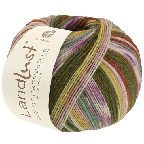 Lana Grossa LANDLUST DIE SOCKENWOLLE (100g) Fb. 716
