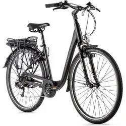 Zoll E-Bike Leader Fox Park City