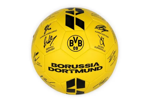 BVB Unterschriftenball 25/26 Gr. 5 in schwarz von BVB