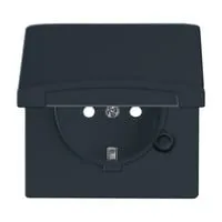 Busch-Jaeger Steckdosen Schwarz von Busch-Jaeger