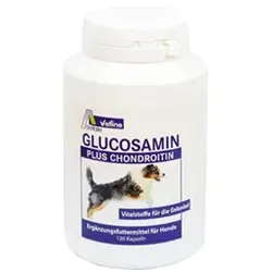 GLUCOSAMIN+CHONDROITIN Kapseln für Hunde 120 St - Chondroitin & Glukosamine Kombinationen, unterstützt die Gelenkgesundheit Ihres Hundes für mehr Beweglichkeit und Lebensfreude.
