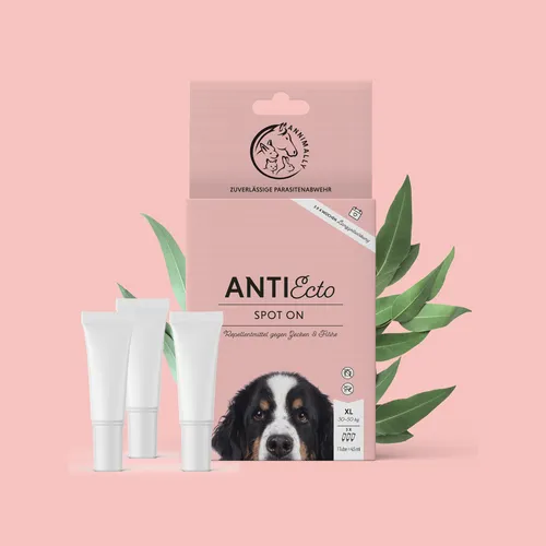 Anti Ecto Spot On XL (30-50 kg) - Floh- & Zeckenschutz für Hunde - Zeckenmittel
