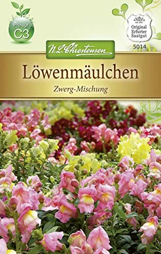 Chrestensen Löwenmäulchen 'Zwerg-Mischung'