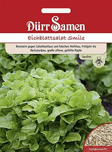 Dürr-Samen - Eichblattsalat Smile Saatgut