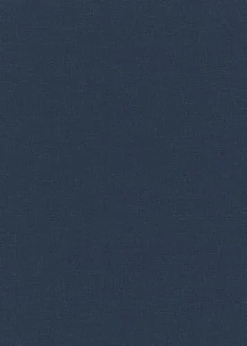 Vliestapete 10444-08 von Erismann - Einfarbig Blau - Hochwertige Vliestapete in Blau, 0.53 x 10.05 m, restlos trocken abziehbar und hoch waschbeständig - ideal für stilvolle Raumgestaltungen.