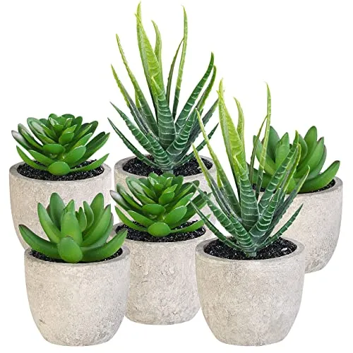 Carlo Milano Kunstpflanzen: 6er-Set künstliche Deko-Sukkulenten mit Töpfen, je 8, 9 und 15 hoch (Künstliche Pflanzen, Nachgebildete Pflanzen, Kunstblumen)
