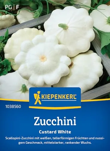 Kiepenkerl Zucchinisamen Custard White 1038560 von Kiepenkerl
