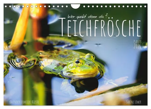 Teichfrösche Wandkalender 2026 - CALVENDO - Hochwertiger Fotokalender im DIN A4 Format mit 12 beeindruckenden Bildern von Teichfröschen. Ideal als Geschenk für Naturliebhaber und umweltfreundlich produziert in Deutschland.