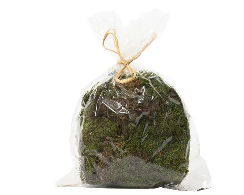 Kaemingk Bastelnaturmaterial, Moos Natur zum Basteln und Dekorieren 80g grün