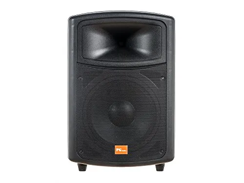 PG Audio PA 120,Disko,Party,Pa Lautsprecher,12 Zoll,1 Stück Neu