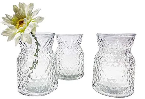 Glasvase Posh, kleine Vase, H: 10,5 cm (3er Set) - kleine Vasen, Blumenvase, Tischdekoration, Deko Hochzeit (Klar)