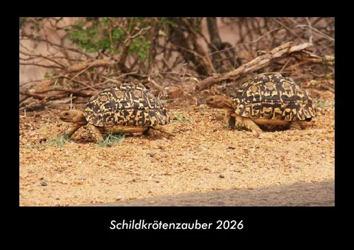 Schildkrötenzauber 2026 Fotokalender DIN A3 Tobias Becker