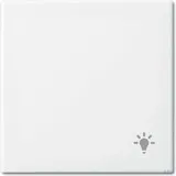 Busch-Jaeger 2520 LI-914 Wippe Licht