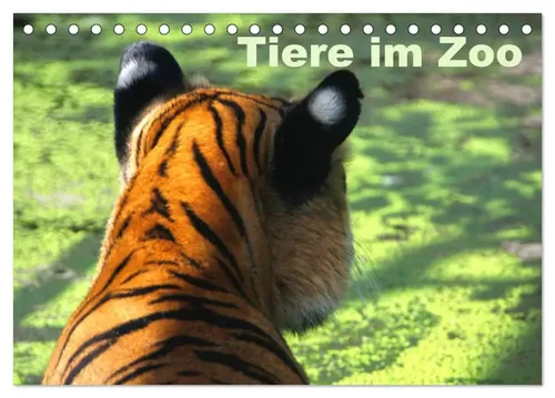 CALVENDO Wandkalender Tiere im Zoo 2026 - Wandkalender für 2026 mit 12 beeindruckenden Tierbildern, ideal für Kinder. FSC-zertifiziert und umweltfreundlich produziert in Deutschland.