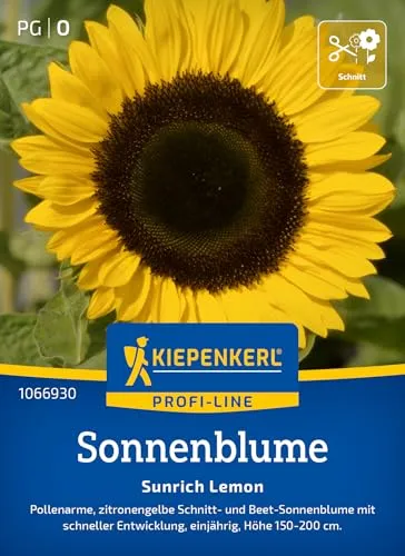 Kiepenkerl Profi-Line Sonnenblumensamen Sunrich Lemon 1066930 - Pollenarme, zitronengelbe Blüten für Beete & Schnittblumen - Wildblumensamen, Blumenwiese