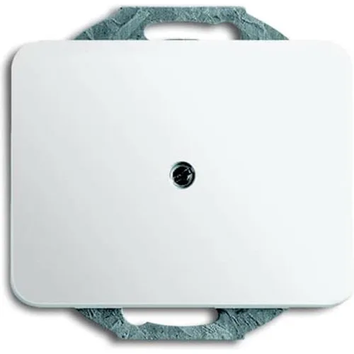 Busch-Jaeger Zentralscheibe (2CKA001710A1209)