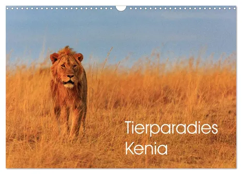 Tierparadies Kenia (Wandkalender 2026 DIN A3 quer), CALVENDO Monatskalender