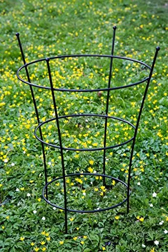 Bögen, Gitter, Laubengänge & Pergolen Schwarz von Kuheiga