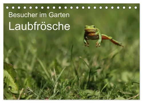 N. Wilhelm | Besucher im Garten - Laubfrösche (Tischkalender 2026 DIN A5...