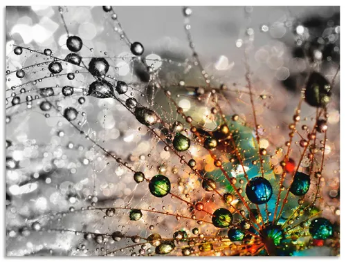 ARTland Wanddeko Wandbild Alu Verbundplatte 60x45 cm von ARTland