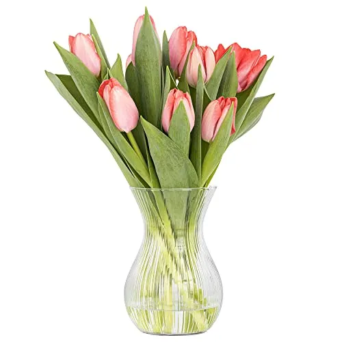 TREND FOR HOME Blumenvase 18 cm Vase für Tulpen Tulpenvase Glasvase für Blumen Glasblumenvase Tischvase Dekovase Klarglasvase Längsstreifen Dekorative Vase | ⌀ 11 cm | 1229 ml | Lyra Luminous