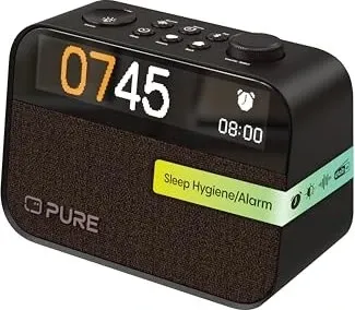 Pure Moment Bluetooth-Lautsprecher Mono schwarz in schwarz von Pure Acoustics