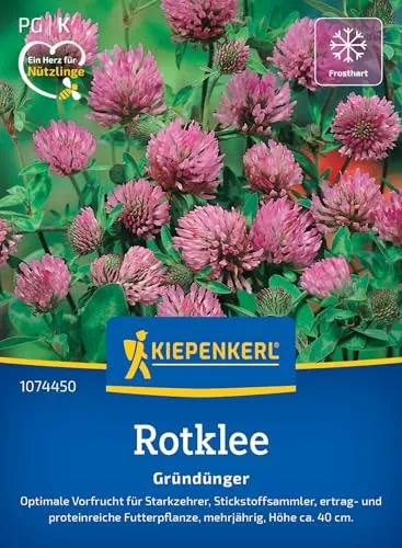 Kiepenkerl Rotkleesamen Wiesenklee 1074450 von Kiepenkerl