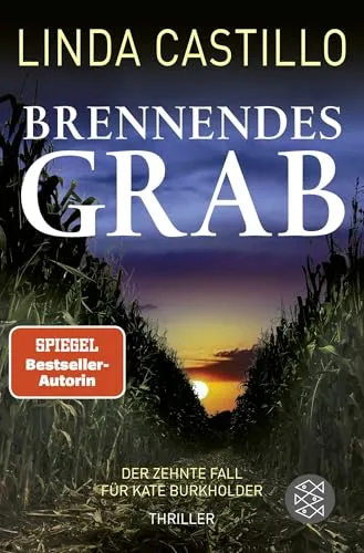 Brennendes Grab: Thriller | Spannender Thriller bei den Amischen (Kate Burkholder ermittelt, Band 10)