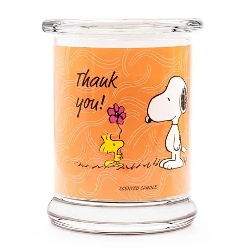 Kerzen Orange von Peanuts