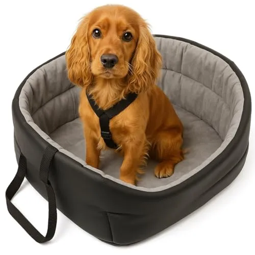 Hunde Autositz Universal Waschbar Abriebfest, Autositz Hund für Vordersitz, Beifahrersitz, Rückbank, Hundebett Hundetasche, S: 39 cm x 32 cm, Schwarz