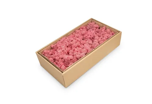 NaDeco Bastelnaturmaterial Islandmoos Fuchsia 500g