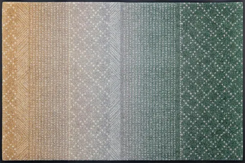 wash+dry Fußmatte Green Desert 75x120cm - Hochwertige Fußmatte für innen und außen, waschbar bis 60°C, rutschfest und lichtecht - ideal für Allergiker und Tierbesitzer.