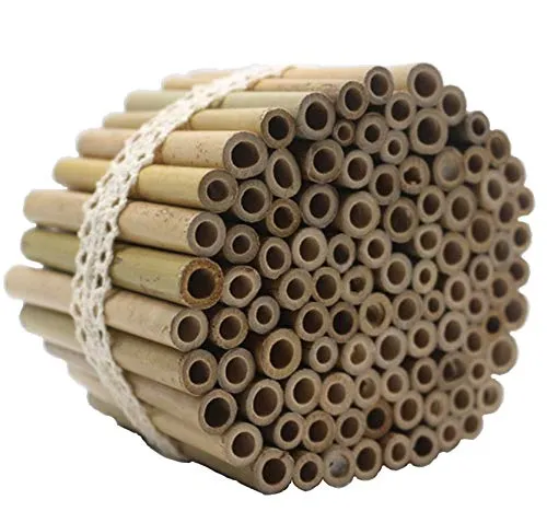 Super Idee 100 Stück 10cm Bambusröhrchen für Insektenhotel