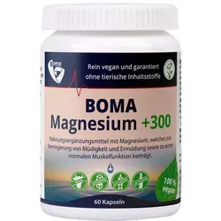 Magnesium+300 Kapseln 60 St