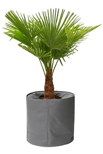 Sesua Thermo-Topfschutz Pflanzschutz 50x70cm grau