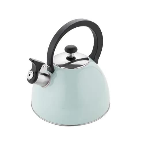 FLORINA Wasserkessel (2,5 l) I Edelstahl Teekessel BRILLO I Flötenkessel mit Bakelitgriff I Kratzfester I Wasserkocher für Induktionsherd, Gasherd und Elektroherd I Farbe: Minze