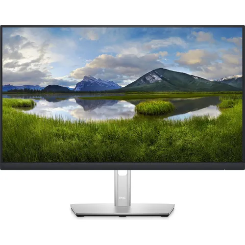 Dell P2422HE - 60.47 cm (23.8