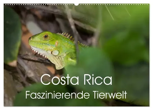 Thomas Gerber | Costa Rica: Faszinierende Tierwelt - Wandkalender 2026 - Erleben Sie die beeindruckende Tierwelt Costa Ricas mit diesem hochwertigen Wandkalender. 12 kunstvolle Aufnahmen bringen exotische Tiere direkt zu Ihnen nach Hause.
