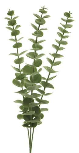 artplants Künstlicher Zweig Eukalyptus Xuan, grün, 60 cm