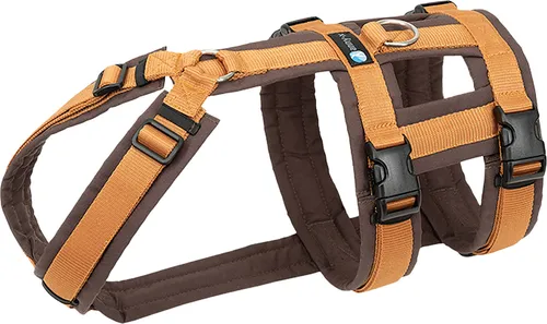 Annyx Brustgeschirr Safety Fun - Bernstein - Gr. S - Brustgeschirr für Hunde, mit sicherem Sitz und stylischem Bernstein-Design, ideal für aktive Spaziergänge und maximale Bewegungsfreiheit.