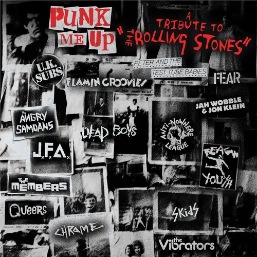 Various Artists Punk Me Up: A Tribute to the Rolling Stones (Vinyl) (US IMPORT)