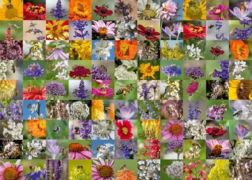 Ravensburger Puzzle 12000617-99 Bienen - 1000 Teile Puzzle für Erwachsene und Kinder ab 14 Jahren,