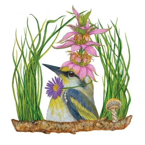 Servietten Harper Vogel Tiere Blüten Kopfschmuck Garten auffällig 33x33cm 20