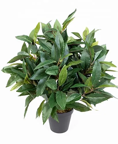Seidenblumen Roß Lorbeerbusch/Lorbeerkugel 45cm im Topf DA Kunstpflanzen künstlicher Lorbeer Pflanzen