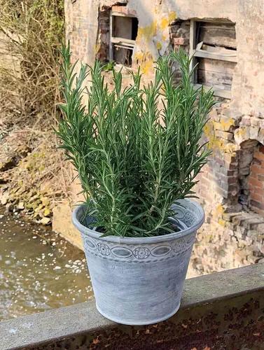 Eimer Grün von zeitzone