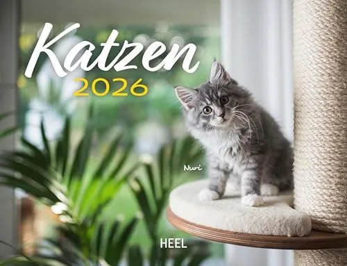 Kalender Katzen 2026 Eintragkalender: 12 super-süße, verspielte Kittens mit putzigen Namen