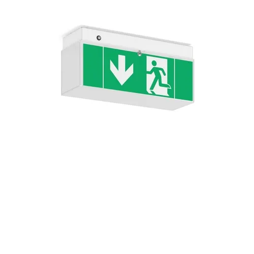 RZB LED-Notleuchte 672190.002.89 von RZB RZB LED-Notleuchte RZB